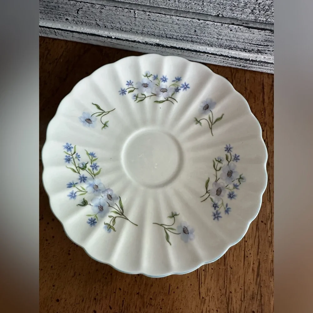 Vintage Rare Shelley English Bone China tea cup and saucer Excellent condition